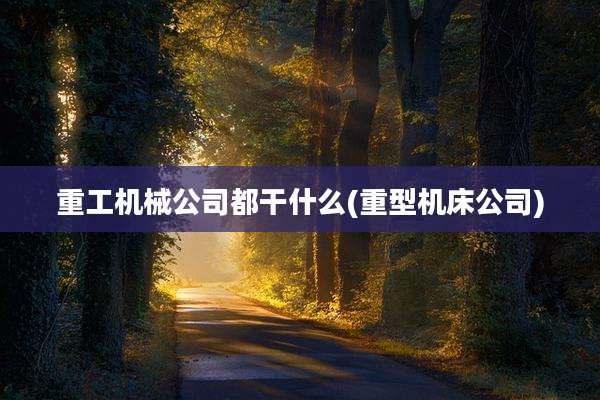 重工机械公司都干什么(重型机床公司)