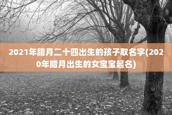2021年腊月二十四出生的孩子取名字(2020年腊月出生的女宝宝起名)