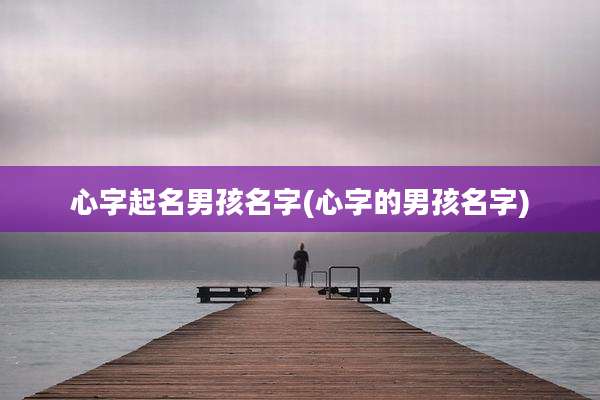 心字起名男孩名字(心字的男孩名字)