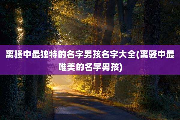 离骚中最独特的名字男孩名字大全(离骚中最唯美的名字男孩)