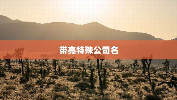 带亮特殊公司名