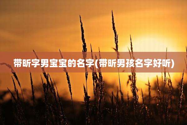 带昕字男宝宝的名字(带昕男孩名字好听)