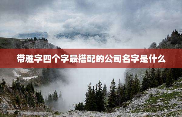 带雅字四个字最搭配的公司名字是什么