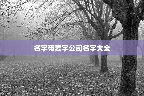 名字带麦字公司名字大全