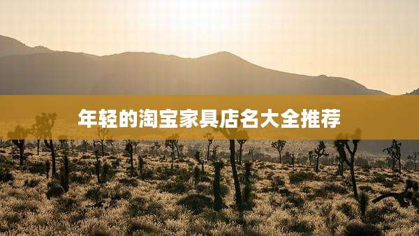 年轻的淘宝家具店名大全推荐