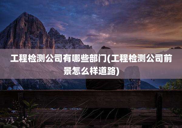 工程检测公司有哪些部门(工程检测公司前景怎么样道路)