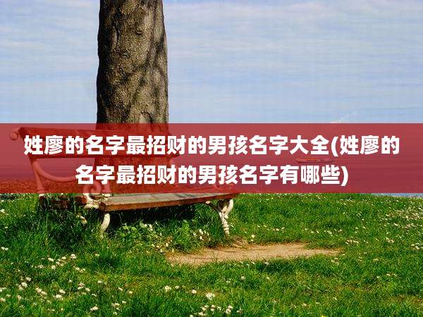 姓廖的名字最招财的男孩名字大全(姓廖的名字最招财的男孩名字有哪些)