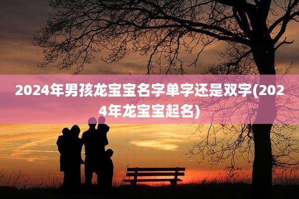 2024年男孩龙宝宝名字单字还是双字(2024年龙宝宝起名)