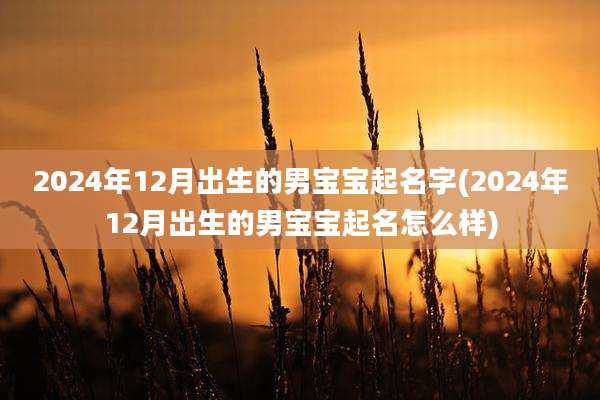 2024年12月出生的男宝宝起名字(2024年12月出生的男宝宝起名怎么样)