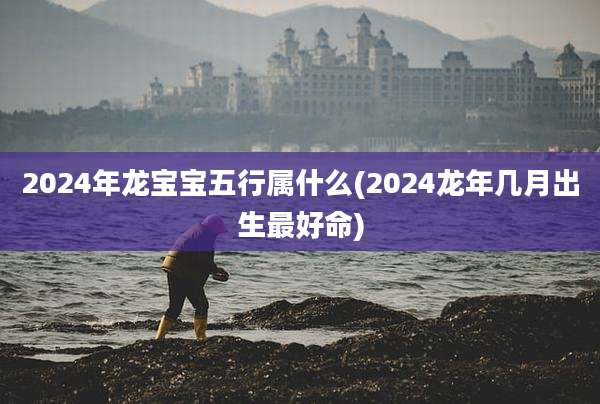 2024年龙宝宝五行属什么(2024龙年几月出生最好命)