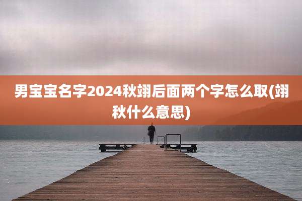 男宝宝名字2024秋翊后面两个字怎么取(翊秋什么意思)