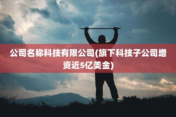 公司名称科技有限公司(旗下科技子公司增资近5亿美金)
