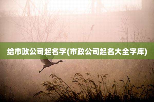 给市政公司起名字(市政公司起名大全字库)