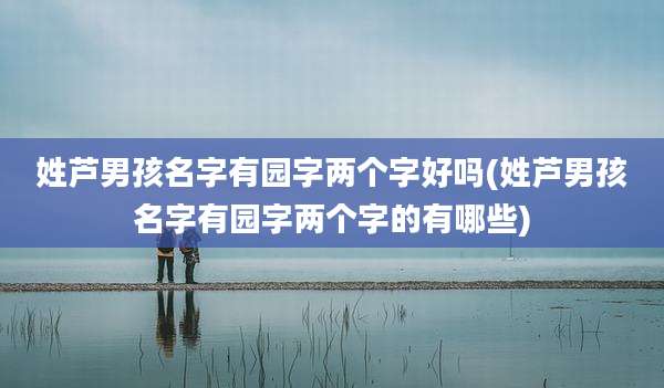 姓芦男孩名字有园字两个字好吗(姓芦男孩名字有园字两个字的有哪些)