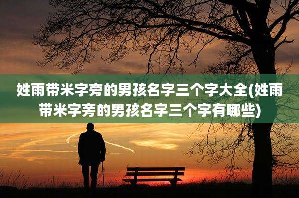 姓雨带米字旁的男孩名字三个字大全(姓雨带米字旁的男孩名字三个字有哪些)