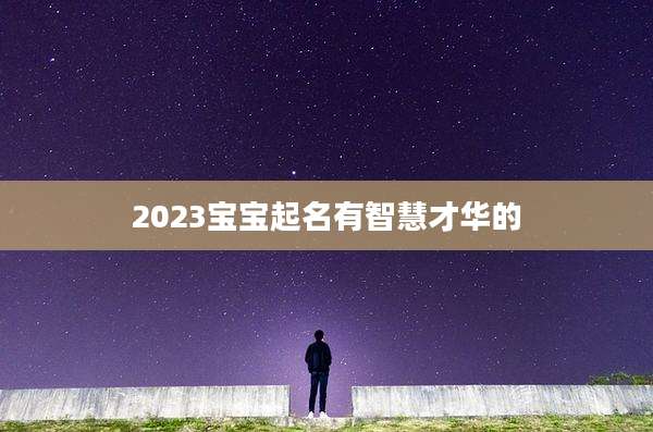 2023宝宝起名有智慧才华的