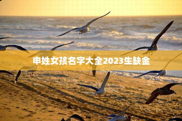 申姓女孩名字大全2023生缺金