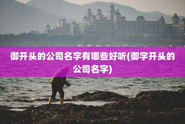 御开头的公司名字有哪些好听(御字开头的公司名字)