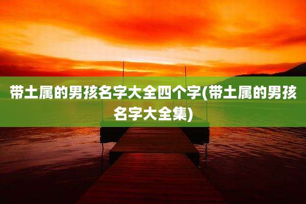 带土属的男孩名字大全四个字(带土属的男孩名字大全集)