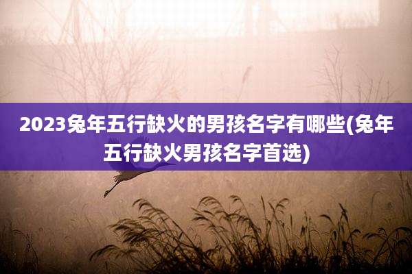 2023兔年五行缺火的男孩名字有哪些(兔年五行缺火男孩名字首选)