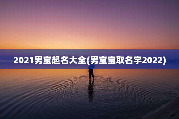 2021男宝起名大全(男宝宝取名字2022)
