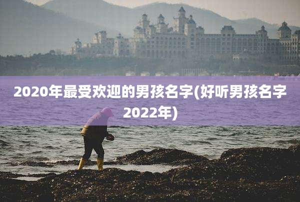 2020年最受欢迎的男孩名字(好听男孩名字2022年)