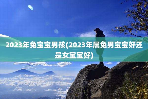 2023年兔宝宝男孩(2023年属兔男宝宝好还是女宝宝好)