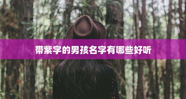 带紫字的男孩名字有哪些好听