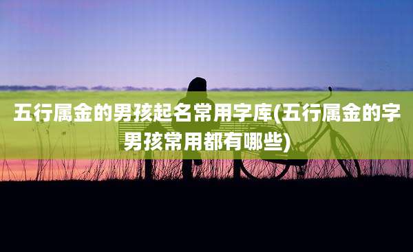 五行属金的男孩起名常用字库(五行属金的字男孩常用都有哪些)