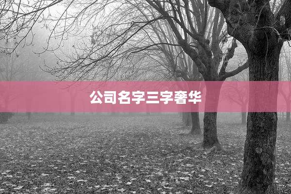 公司名字三字奢华