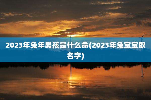 2023年兔年男孩是什么命(2023年兔宝宝取名字)