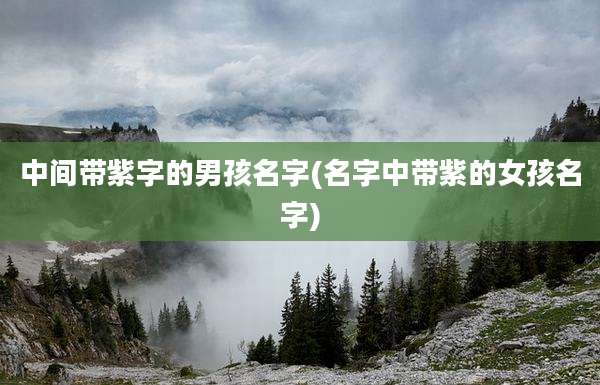 中间带紫字的男孩名字(名字中带紫的女孩名字)