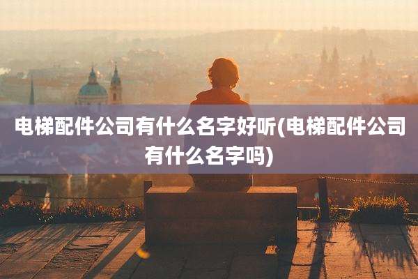 电梯配件公司有什么名字好听(电梯配件公司有什么名字吗)