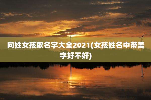 向姓女孩取名字大全2021(女孩姓名中带美字好不好)