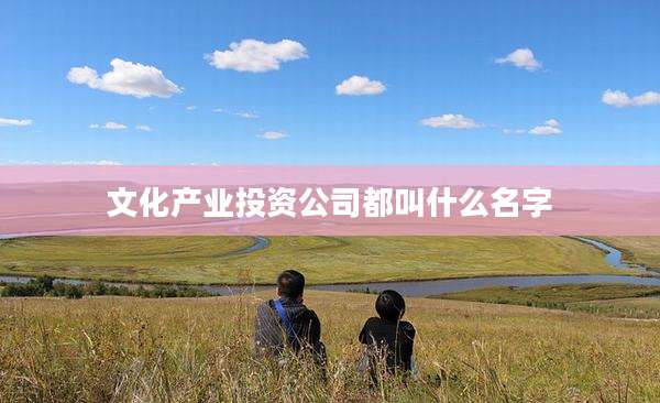 文化产业投资公司都叫什么名字