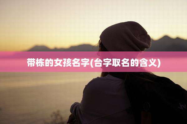 带栋的女孩名字(台字取名的含义)