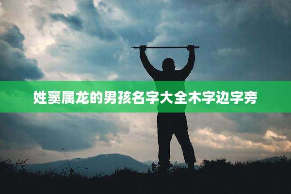 姓窦属龙的男孩名字大全木字边字旁
