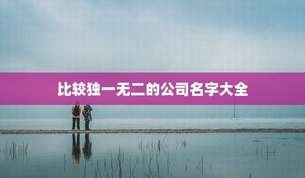 比较独一无二的公司名字大全
