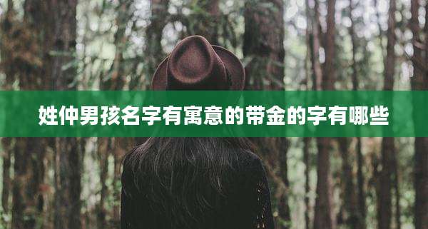 姓仲男孩名字有寓意的带金的字有哪些