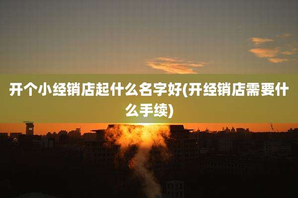 开个小经销店起什么名字好(开经销店需要什么手续)