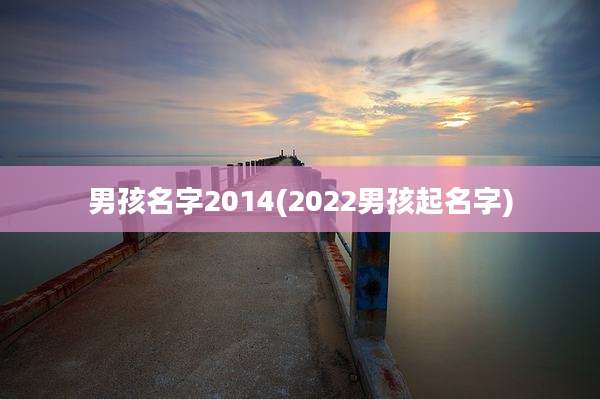 男孩名字2014(2022男孩起名字)