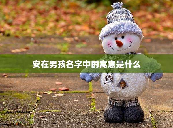 安在男孩名字中的寓意是什么