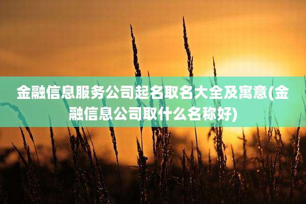 金融信息服务公司起名取名大全及寓意(金融信息公司取什么名称好)
