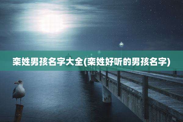 栾姓男孩名字大全(栾姓好听的男孩名字)