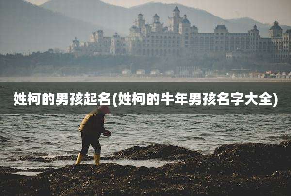 姓柯的男孩起名(姓柯的牛年男孩名字大全)