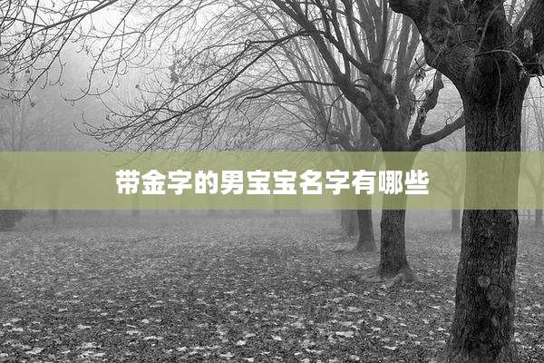 带金字的男宝宝名字有哪些