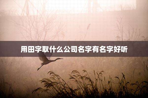 用田字取什么公司名字有名字好听