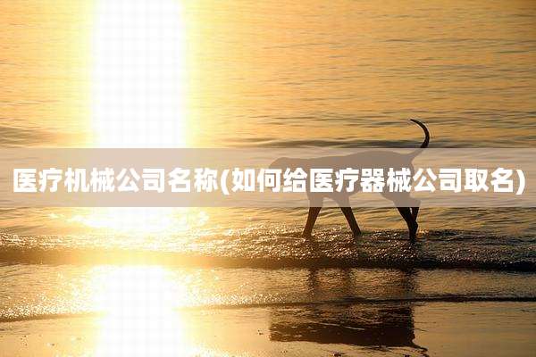 医疗机械公司名称(如何给医疗器械公司取名)
