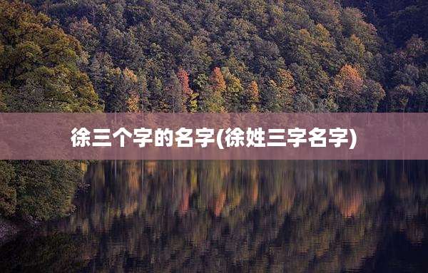 徐三个字的名字(徐姓三字名字)