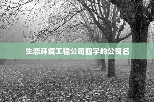 生态环境工程公司四字的公司名